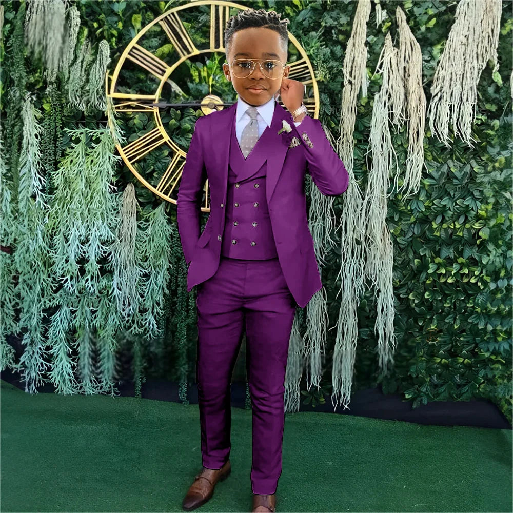 Ensemble Costumes Garçon 3 Pièces Veste Gilet Pantalon Tenue de Banquet Fête Élégant Smoking Enfant Vêtements d'Invité de Mariage 2-20T