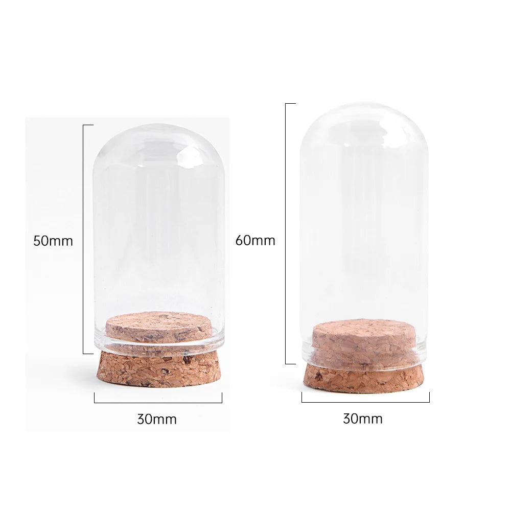 24pcs Glass Cloche Bell Jar with Cork Base - 5 Sizes Display Case for Flowers Mini Bottles Terrarium Home Party Wedding Decor