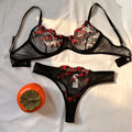 Ensemble de lingerie sexy fantaisie en dentelle érotique pour femme, 2 pièces, sous-vêtements transparents brodés, soutien-gorge et culotte érotiques magnifiques