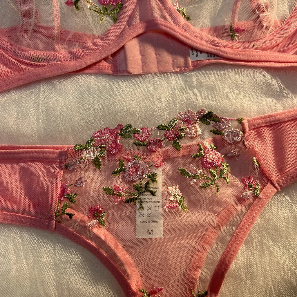 Ensemble de lingerie sexy fantaisie en dentelle érotique pour femme, 2 pièces, sous-vêtements transparents brodés, soutien-gorge et culotte érotiques magnifiques