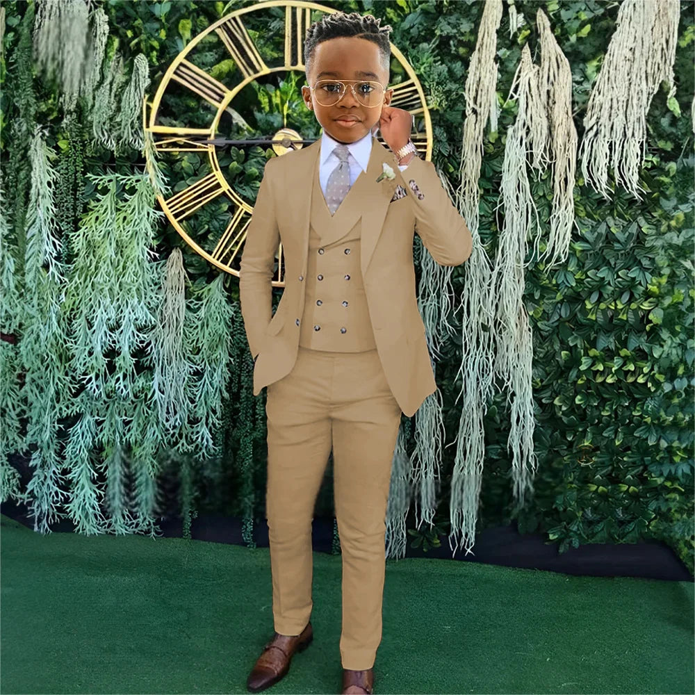 Ensemble Costumes Garçon 3 Pièces Veste Gilet Pantalon Tenue de Banquet Fête Élégant Smoking Enfant Vêtements d'Invité de Mariage 2-20T