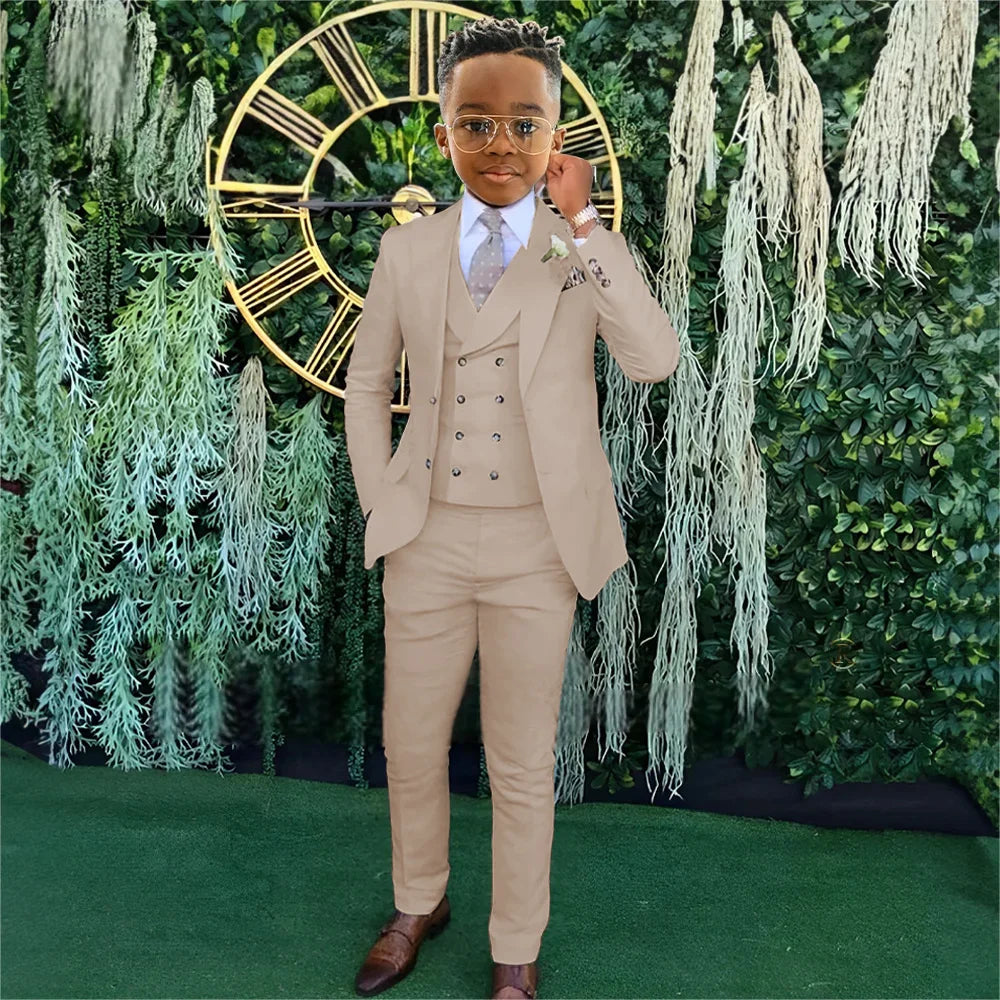 Ensemble Costumes Garçon 3 Pièces Veste Gilet Pantalon Tenue de Banquet Fête Élégant Smoking Enfant Vêtements d'Invité de Mariage 2-20T
