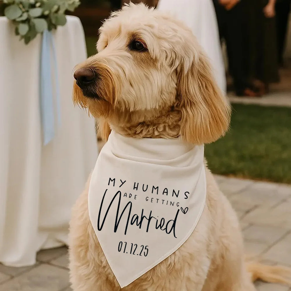 Bandana pour chien personnalisée « Mes humains se marient » à attacher – Accessoire de mariage pour animaux de compagnie – Cadeau de fiançailles – Photographie des mariés