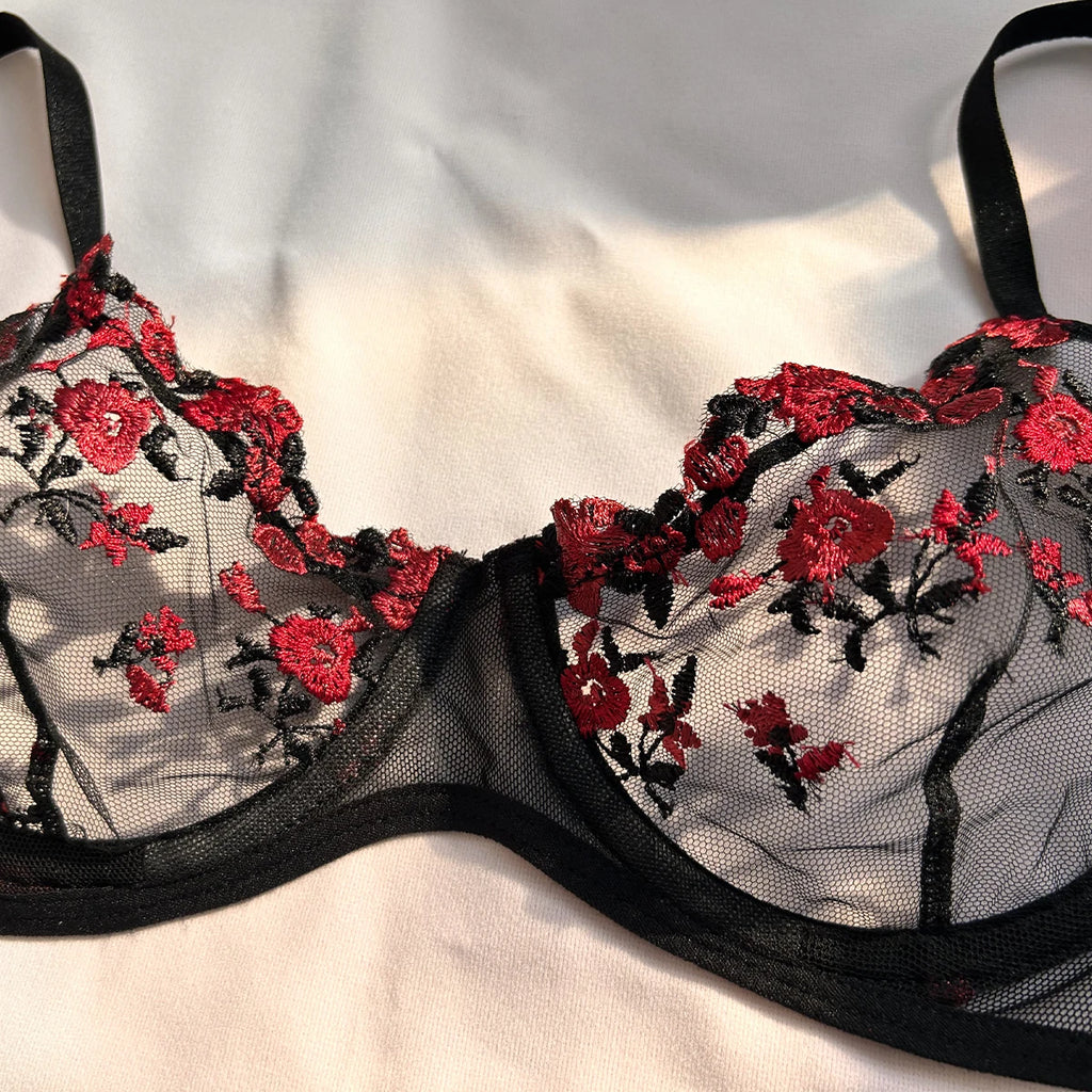 Ensemble de lingerie sexy fantaisie en dentelle érotique pour femme, 2 pièces, sous-vêtements transparents brodés, soutien-gorge et culotte érotiques magnifiques