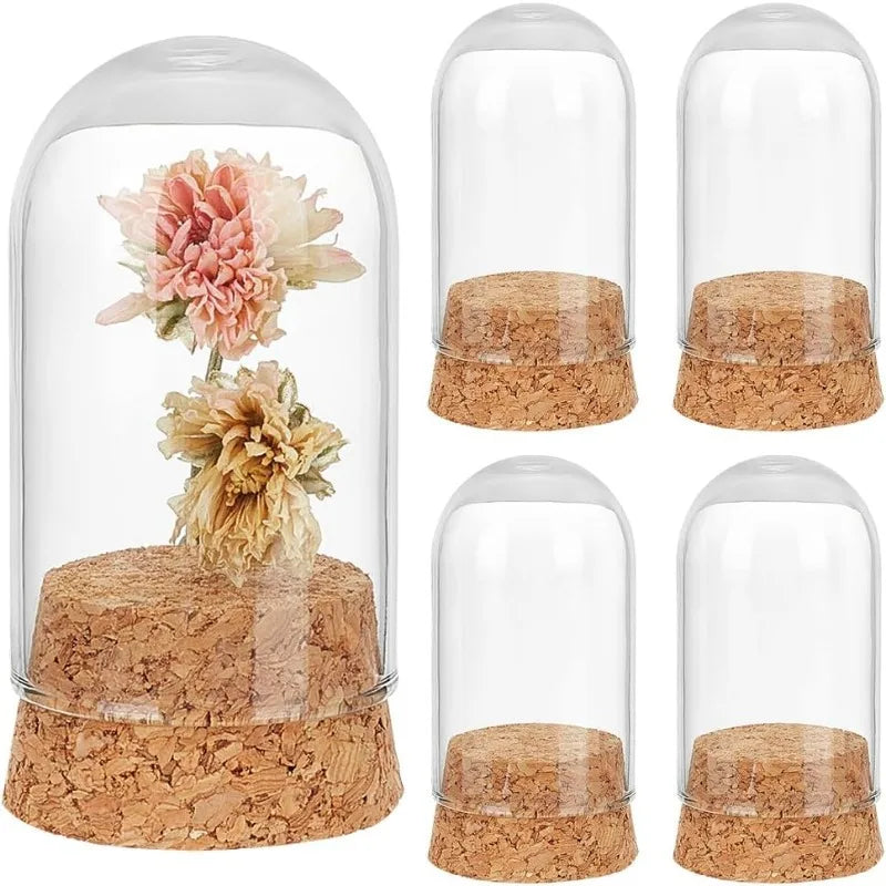 24pcs Glass Cloche Bell Jar with Cork Base - 5 Sizes Display Case for Flowers Mini Bottles Terrarium Home Party Wedding Decor